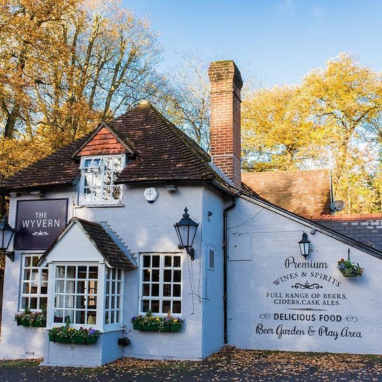 Photo of The Wyvern Fleet pub.